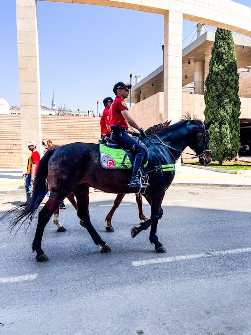 büyük şehir, Etkinlik, kahverengi atlar içeren Ücretsiz stok fotoğraf