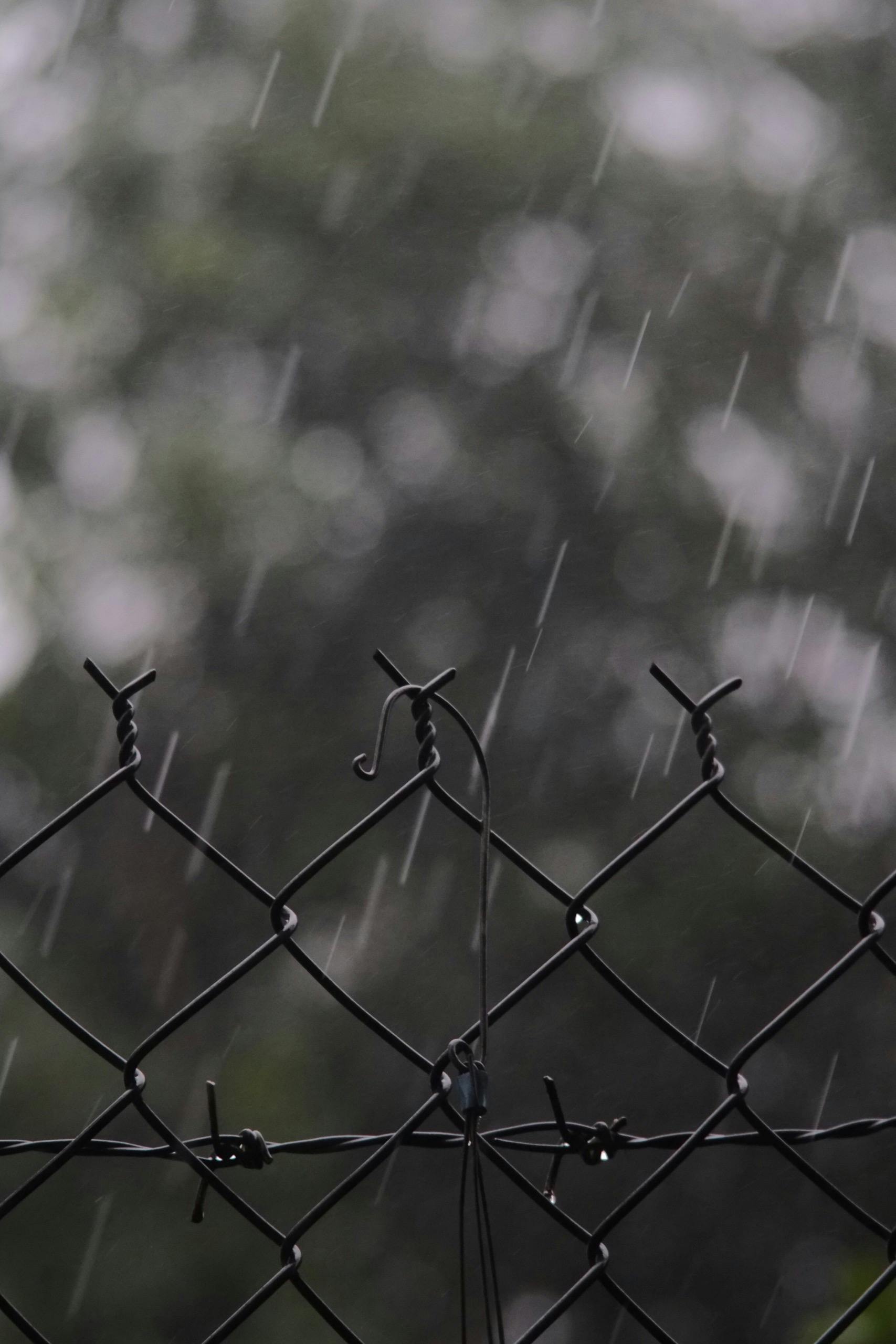 black and white photo of a fence on a rainy day