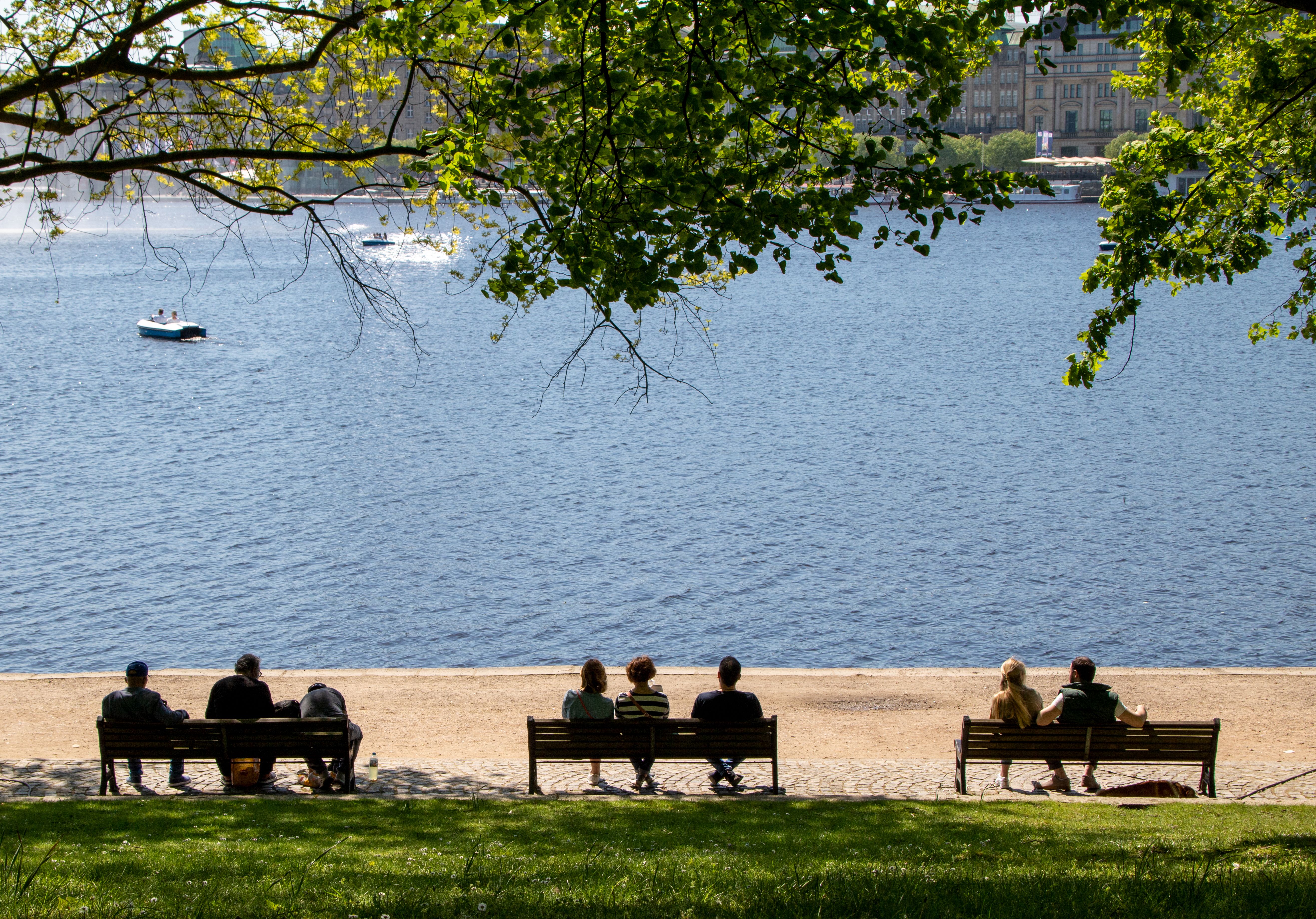 Back View of People Sitting on Benches · Free Stock Photo