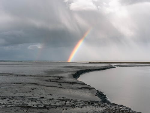 Landscape Photography of Gray Land Field