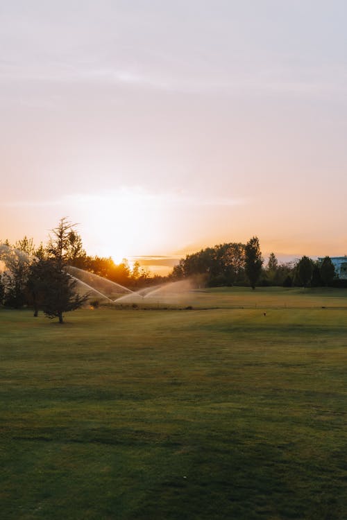 Gratis lagerfoto af aften, dis, efterår