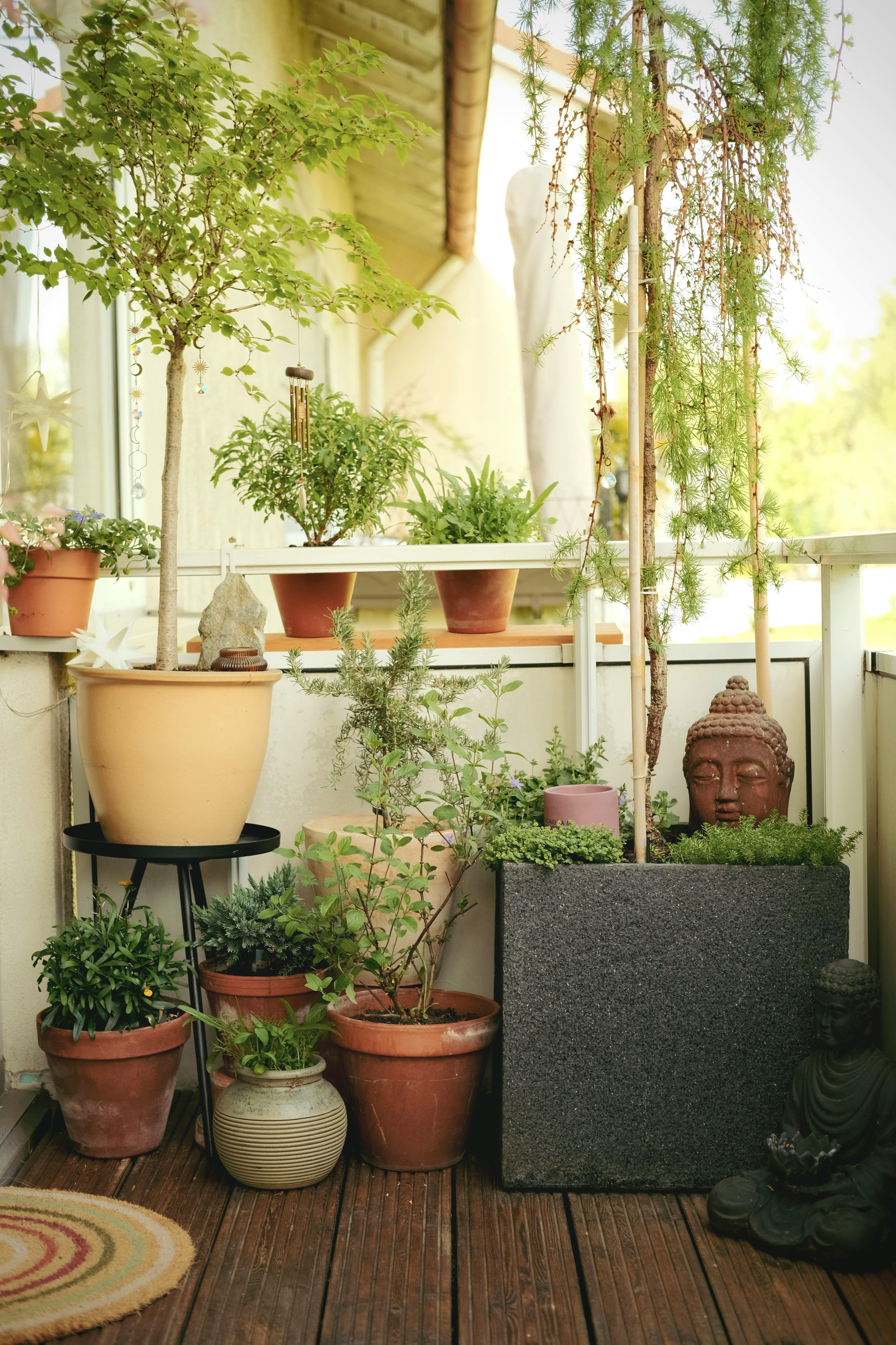 A tranquil balcony decorated with Buddha statues, potted plants, and decorative figures.