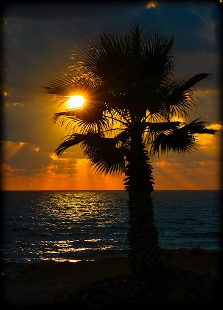 Free stock photo of dark, sea, sunset