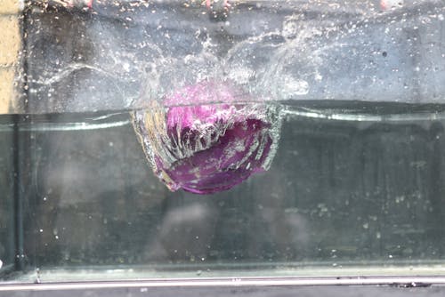 Free stock photo of cabbage, purple, splash Stock Photo