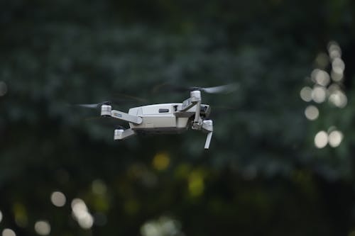 Foto profissional grátis de drone