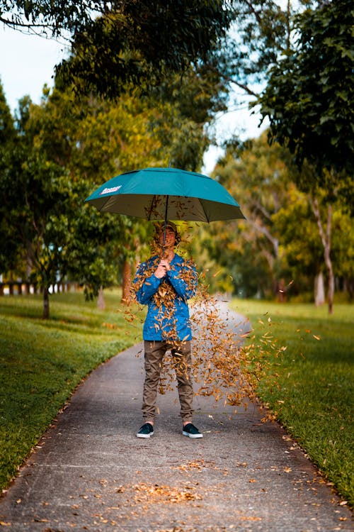 男人站着，用棕色的树叶覆盖的混凝土路面上使用蓝色的伞