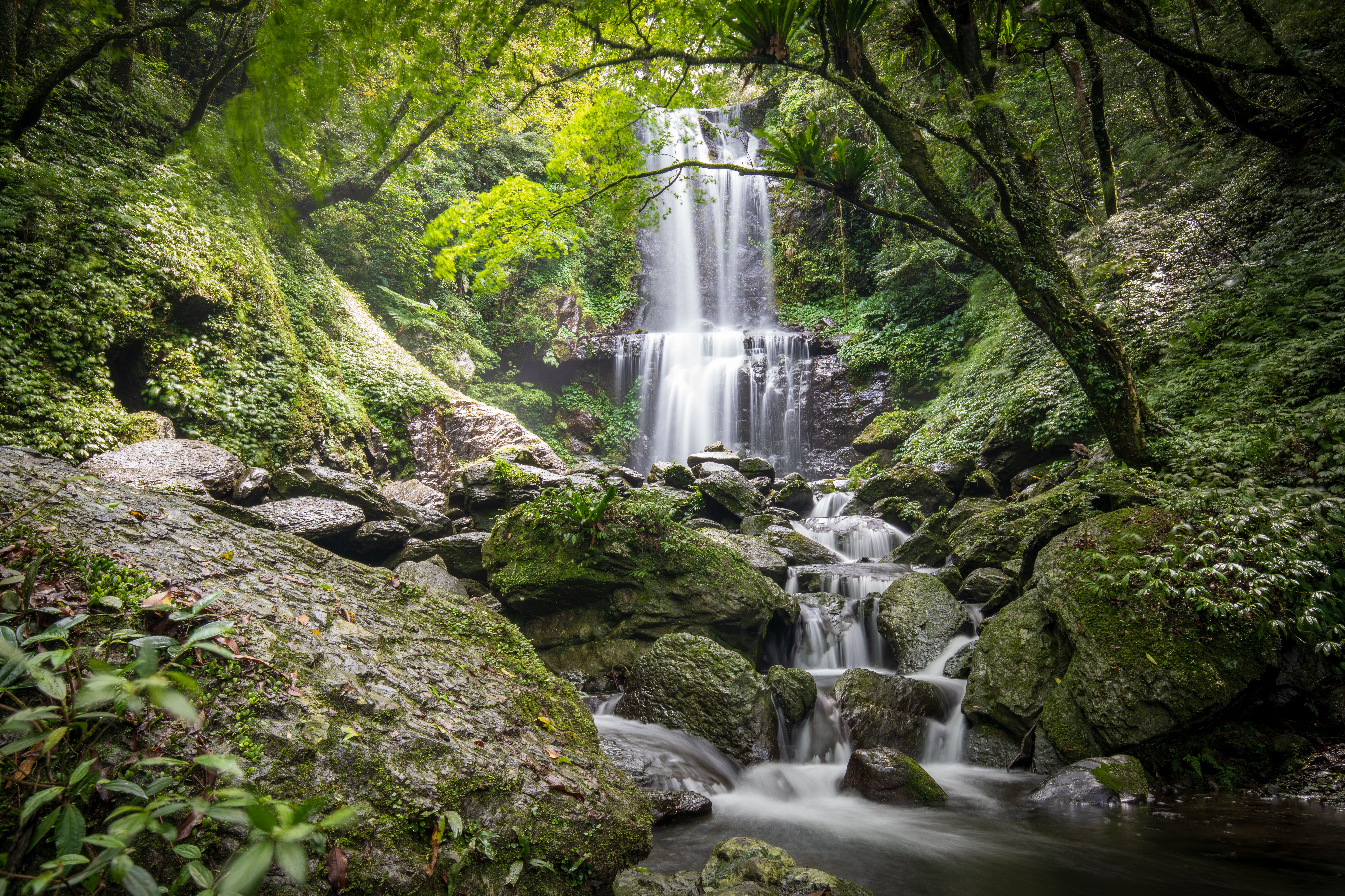 A waterfall falling through dense green forest