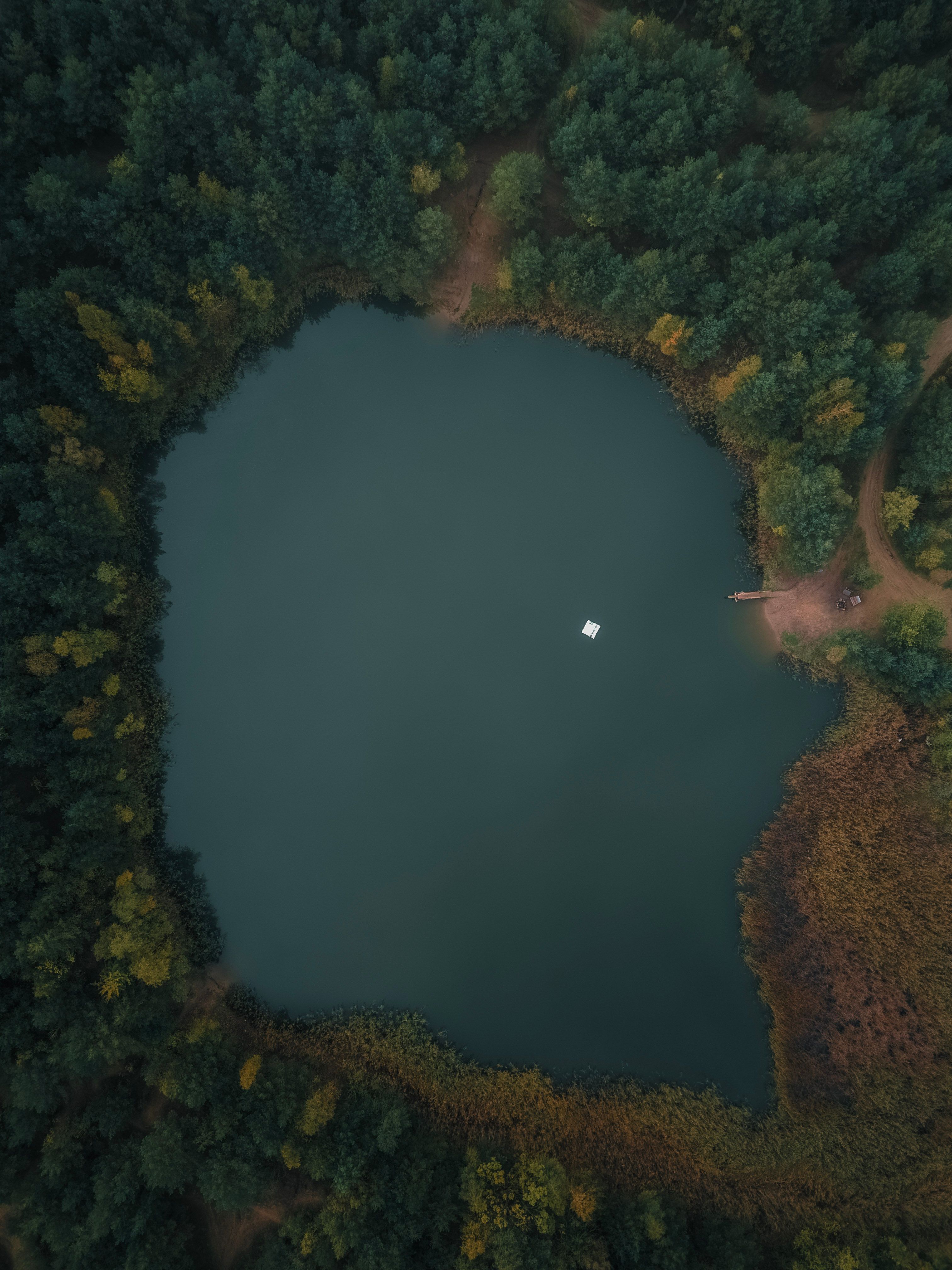 Aerial View of a Lake in the Middle of the Forest · Free Stock Photo