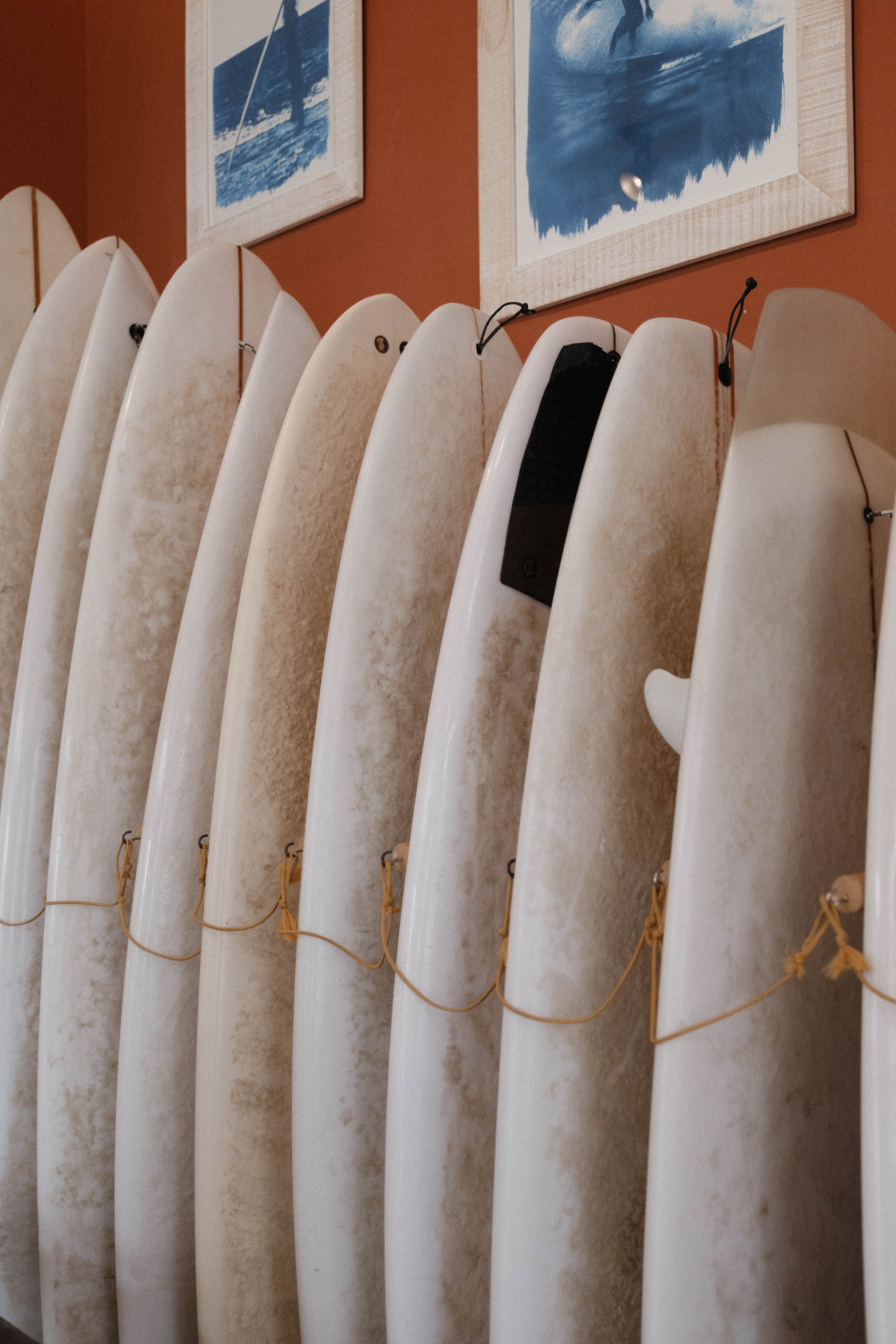 A row of surfboards are lined up in a room · Free Stock Photo