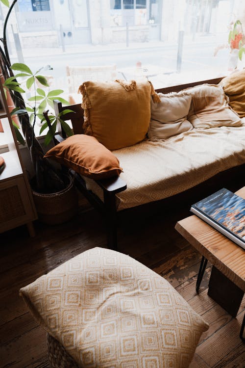 A living room with a couch, coffee table and a plant