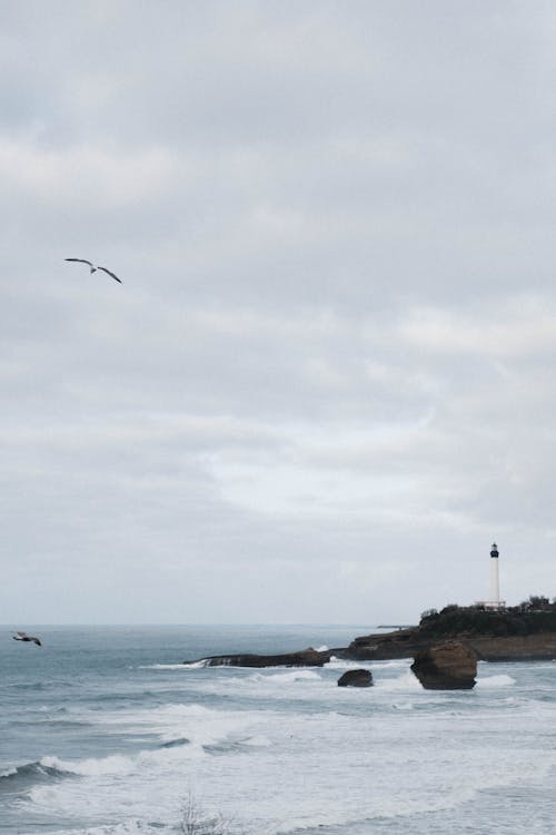 A bird flying over the ocean and a lighthouse