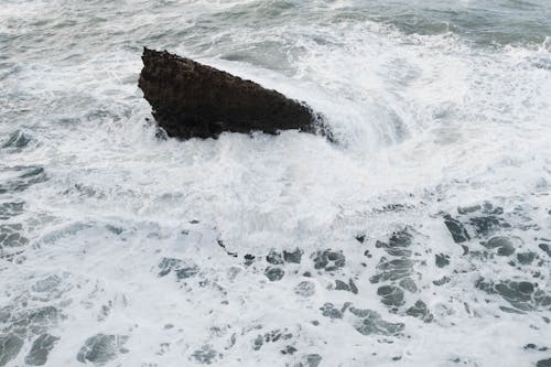 Foto profissional grátis de água, batida, beira-mar