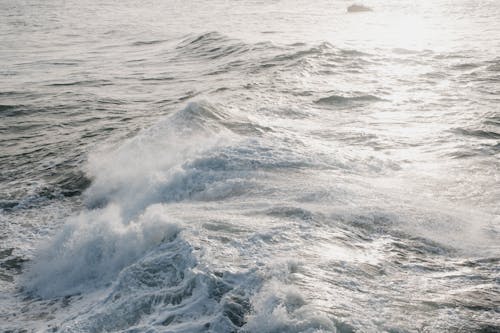 Foto profissional grátis de água, batida, beira-mar