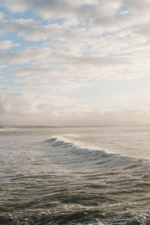 Безкоштовне стокове фото на тему «берег моря, Буря, вітер»
