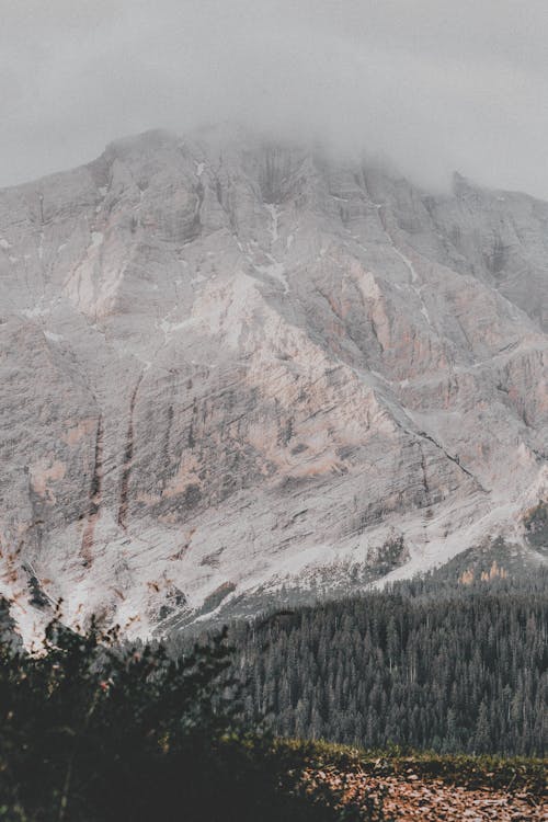 Selective Focus Photography of Mountain