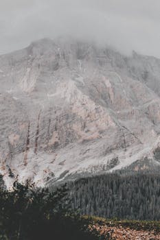 雾蒙蒙的山峰与森林山麓，展现出一片宁静的自然风光