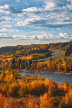 Stunning autumn landscape in Cochrane, Alberta with vibrant foliage and winding river.