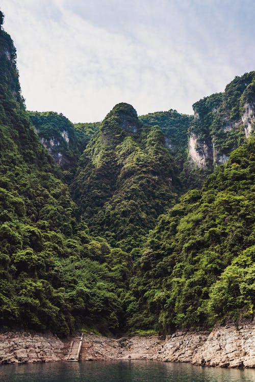 Foto Van Tree Covered Mountain