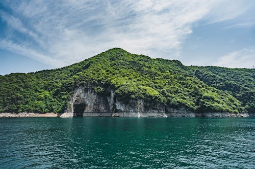 Landscape Photo of Mountain Covered With Trees