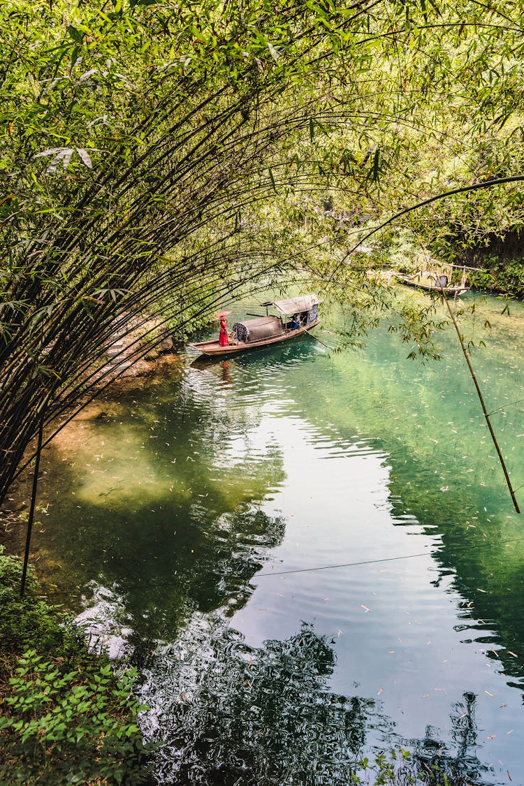 Photo Of Person Standing On Boat Near Tall Trees