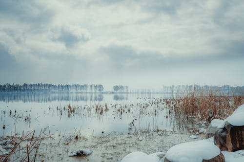 Free Field Covered With Snow Under White and Gray Skies Stock Photo