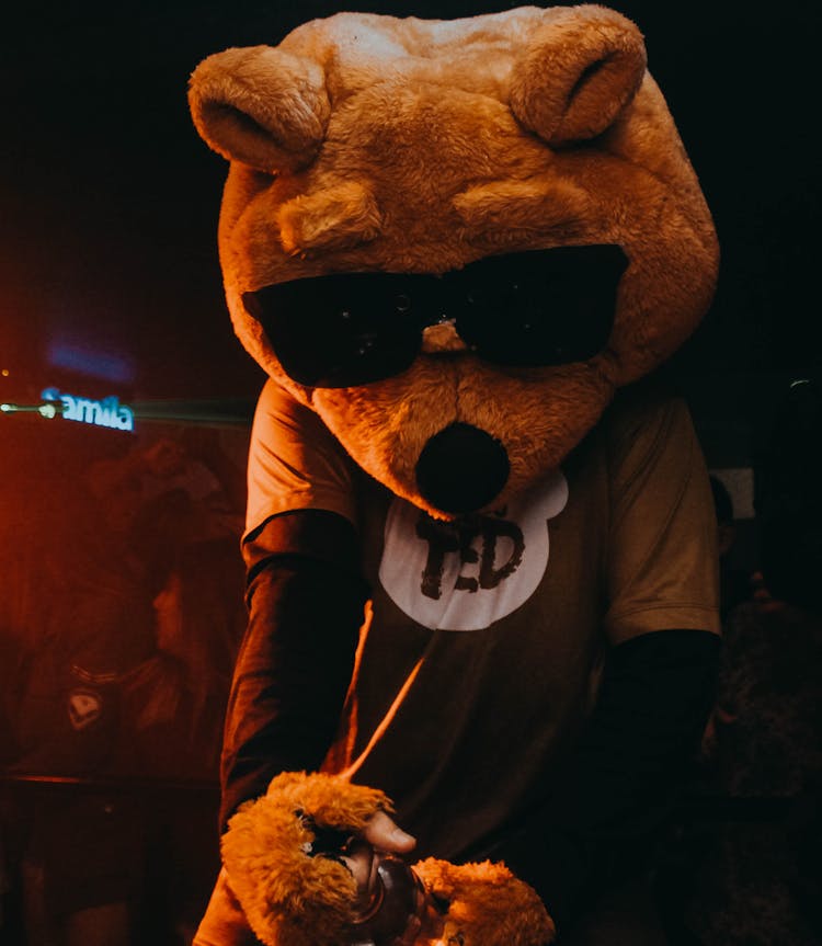 Brown Teddy Bear Mascot