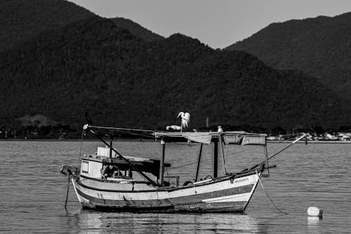 Darmowe zdjęcie z galerii z jezioro, kuter rybacki, łódź