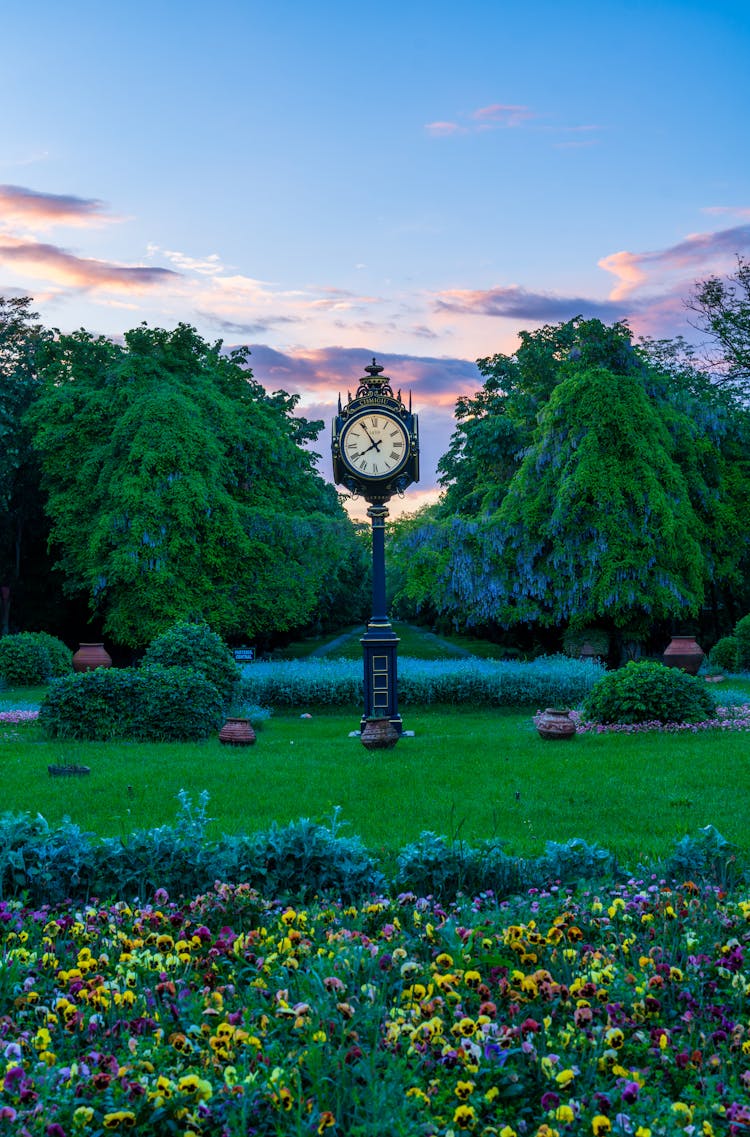 Clock In The Park In Bucharest