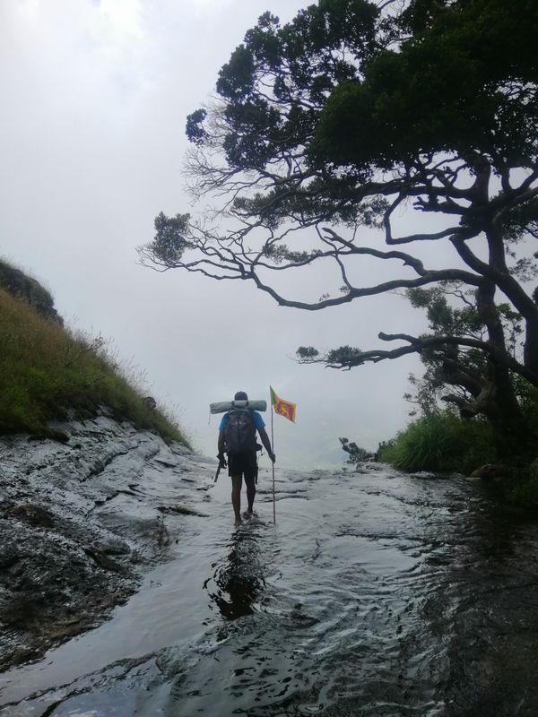 South Sri Lanka for Solo Travellers
