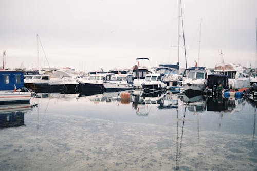 A group of boats are docked in a harbor