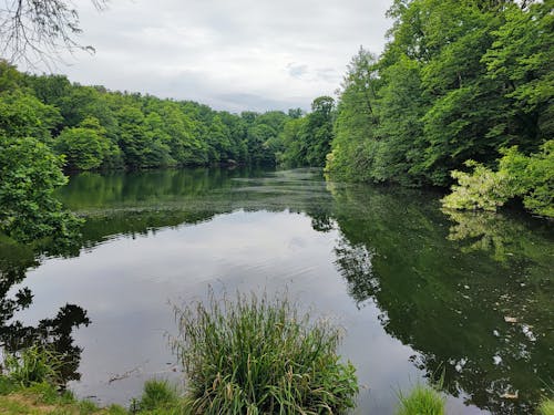 Kostenloses Stock Foto zu foto do lago, grüner see, maksimir