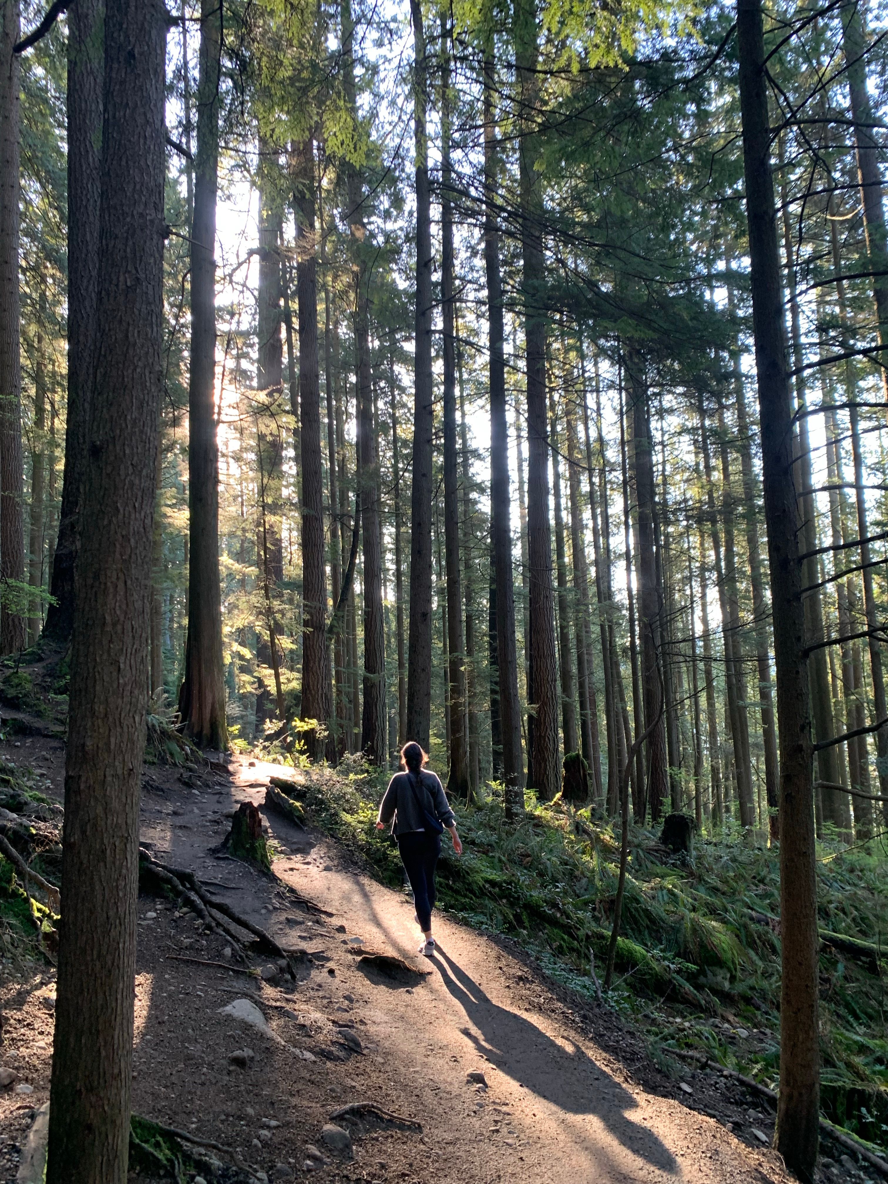 A person walking on a trail in the woods · Free Stock Photo