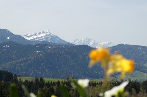 Imagine de stoc gratuită din весна как лето, горы, дневной пейзаж