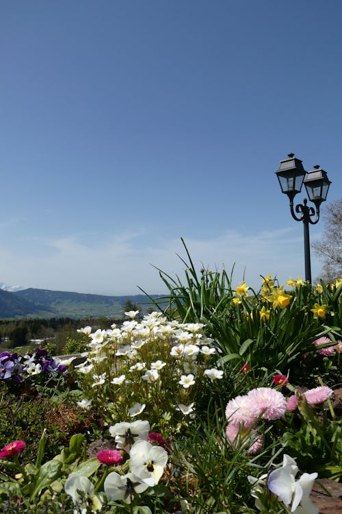 Imagine de stoc gratuită din весна как лето, горы, дневной пейзаж