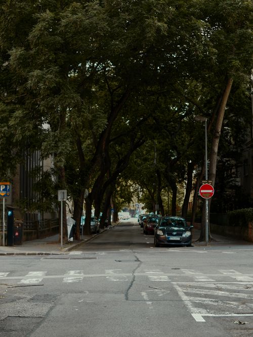 Free A peaceful urban street in Bratislava, shaded by lush green trees and parked cars, offers a serene city scene. Stock Photo