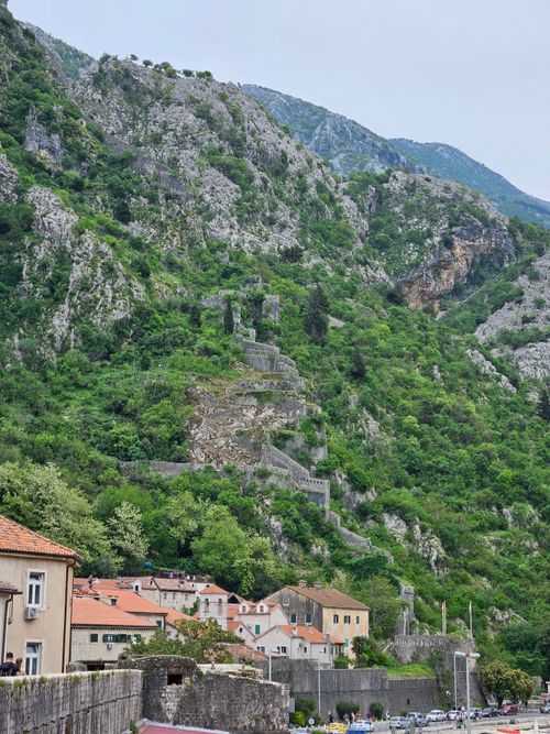 Kotor & Perast Half-Day Tour