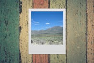 这是一张采用经典宝丽来风格、充满活力的风景照片，背景是质朴的木制纹理