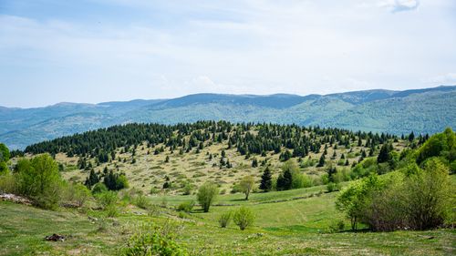 Free Beautiful summer landscape in Düzköy, Trabzon with lush greenery and mountains. Stock Photo