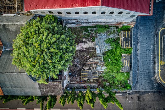 Drone shot over a lush tree and abandoned area in Jakarta, Indonesia.