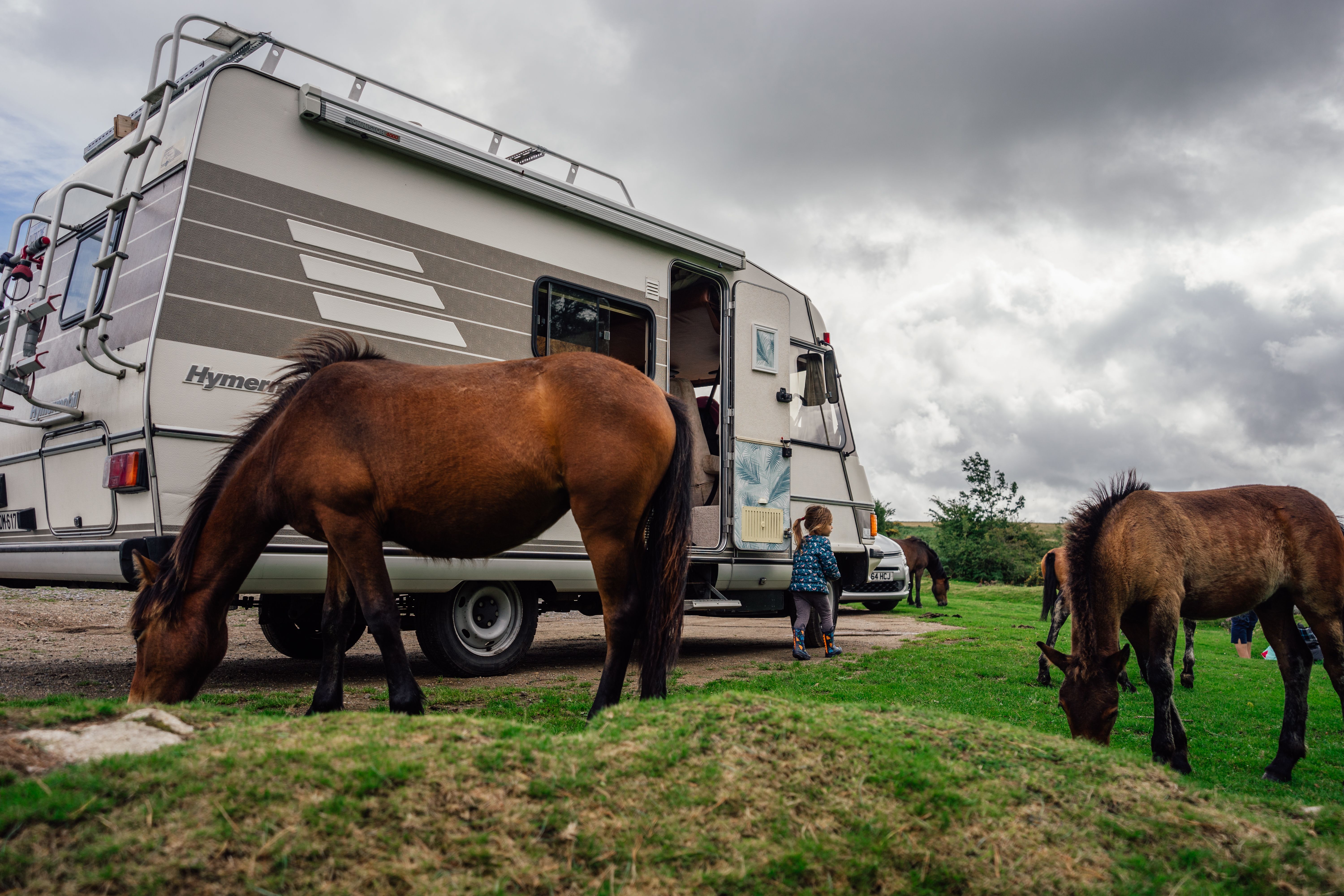 Plug pulled on family Traveller site plan — Photo by Clément Proust on Pexels