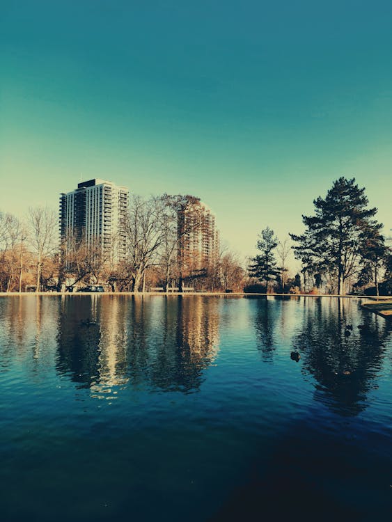 Body of Water Across City Building