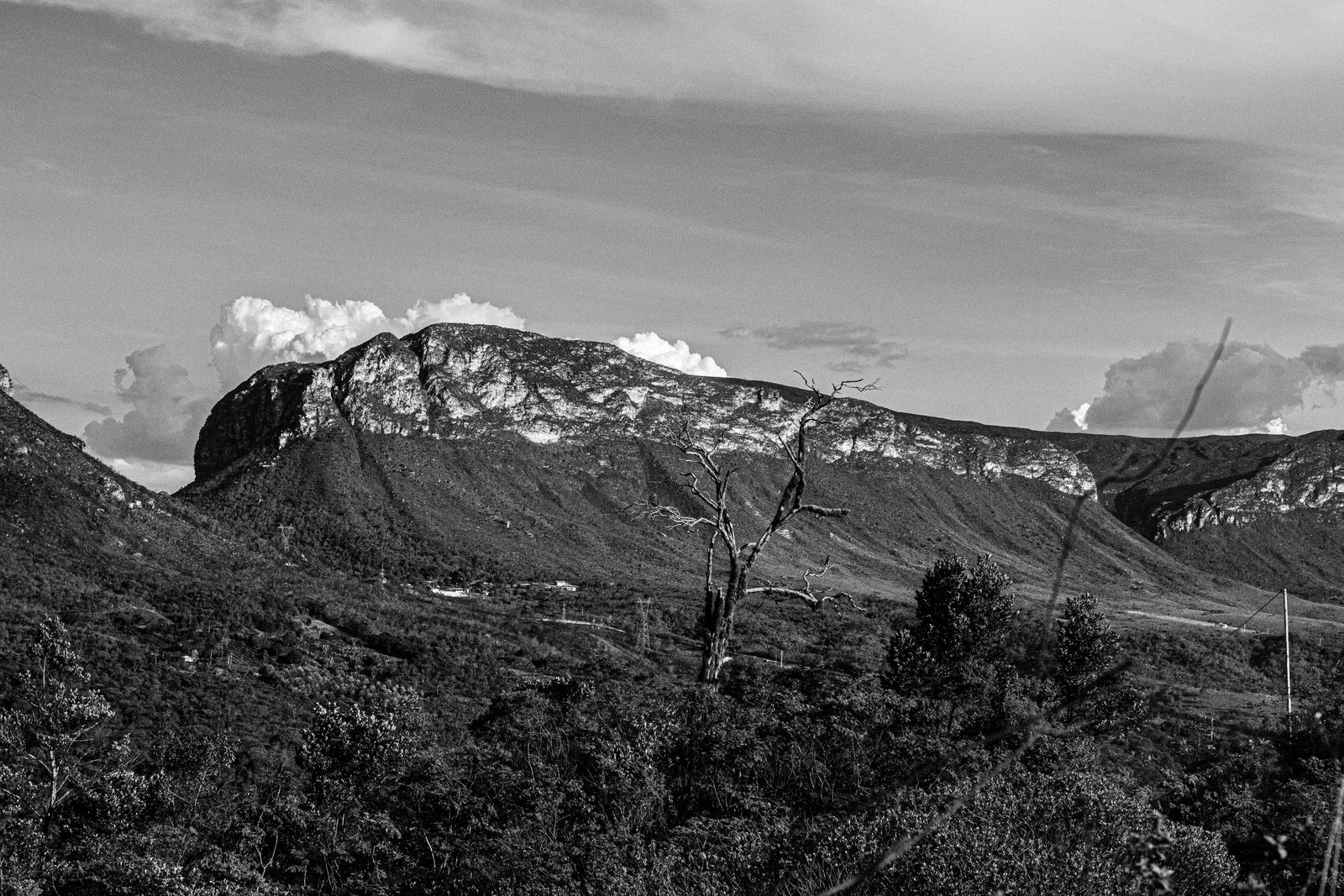 pexels photo 23157884