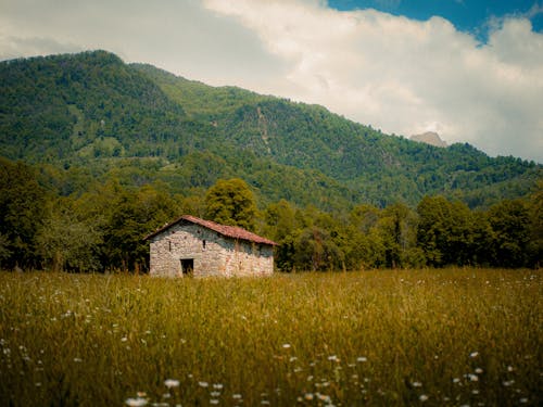 Rural Landscape with a isolated House