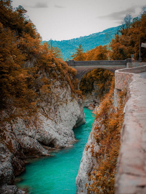 River flowing under Bridge