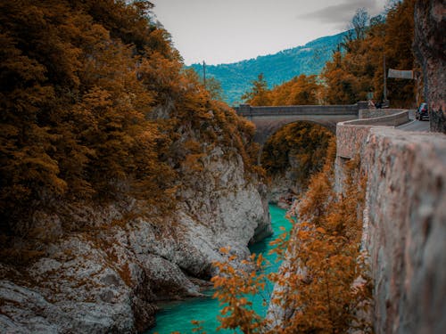 River flowing under Bridge