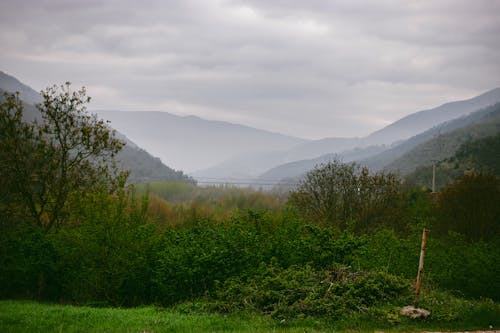 Imagine de stoc gratuită din ceață, diminuarea perspectivei, natură