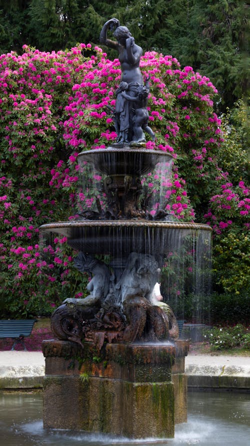 Foto profissional grátis de chafariz, entalhe, escultura