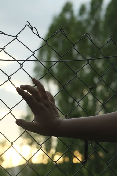 Free A close-up of a hand gently touching a fence with a sunset and trees in the background. Stock Photo
