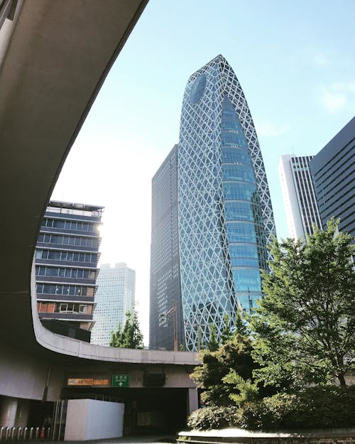 무료 콘크리트 건물 근처 푸른 나무 스톡 사진