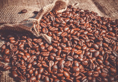 Brown Coffee Beans on Brown Surface